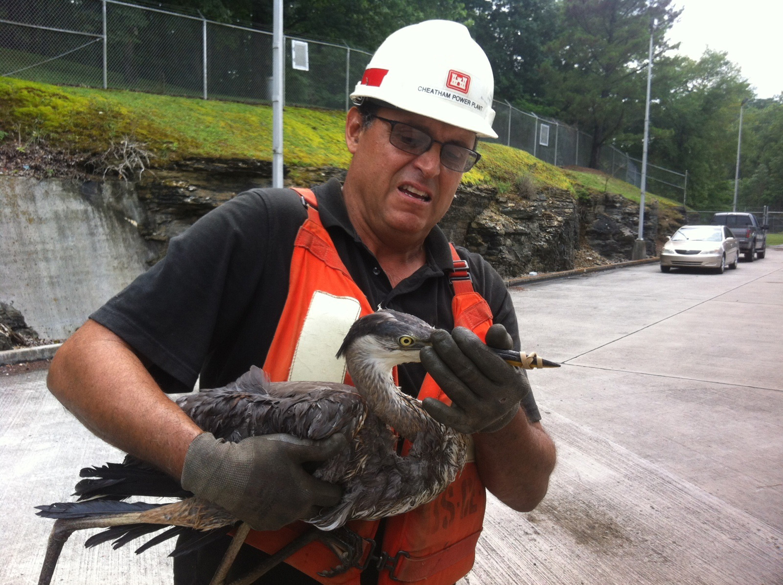 Man holding a long-beaked bird.